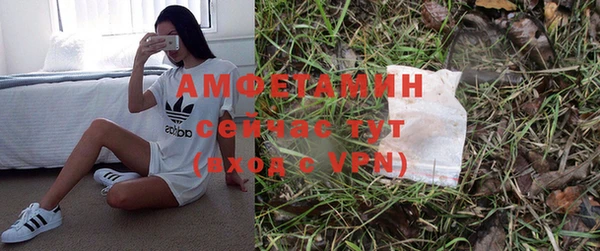 ПСИЛОЦИБИНОВЫЕ ГРИБЫ Майский
