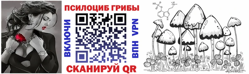 Галлюциногенные грибы Cubensis  Иваново 