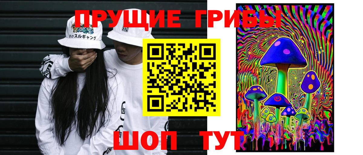 Галлюциногенные грибы Psilocybe Иваново