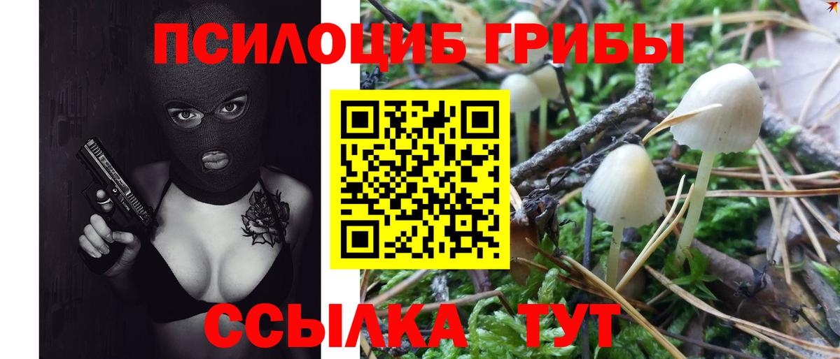 Галлюциногенные грибы Psilocybe  Иваново 