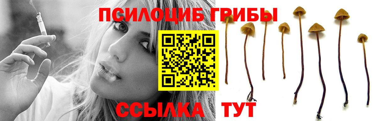 что такое наркотик  Галлюциногенные грибы Cubensis  Вход с VPN  Иваново 